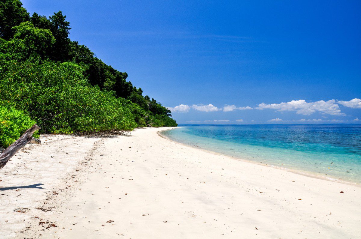 Kalapathar Beach, Havelock Island, with white sand and forest coastline