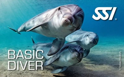 SSI Basic Diver course, Seahawks SCUBA