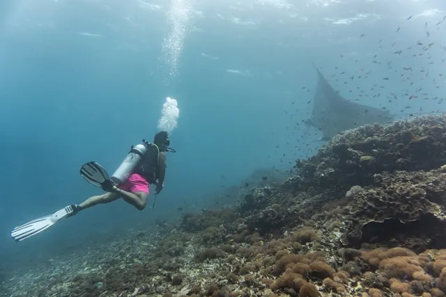 A certified diver approaching over the reef in open water at Bus Stop, Neil Island