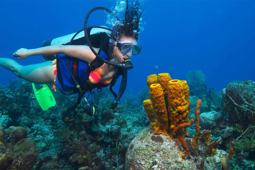 Diver next to a yellow sponge on the reef at Fish Point, Chidiyatapu