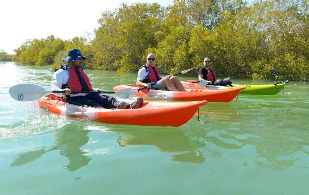 Mangrove kayaking Havelock