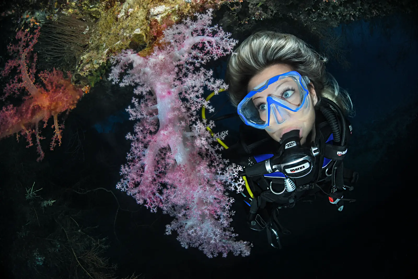 Diver closely observing pale pink soft coral underwater