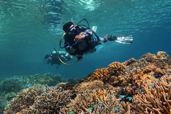 Try Scuba Diving in Havelock Island