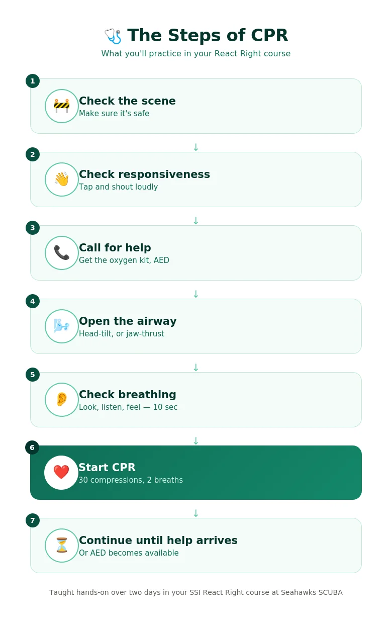 The steps of CPR — infographic