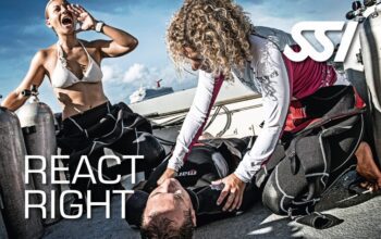 React Right Speciality