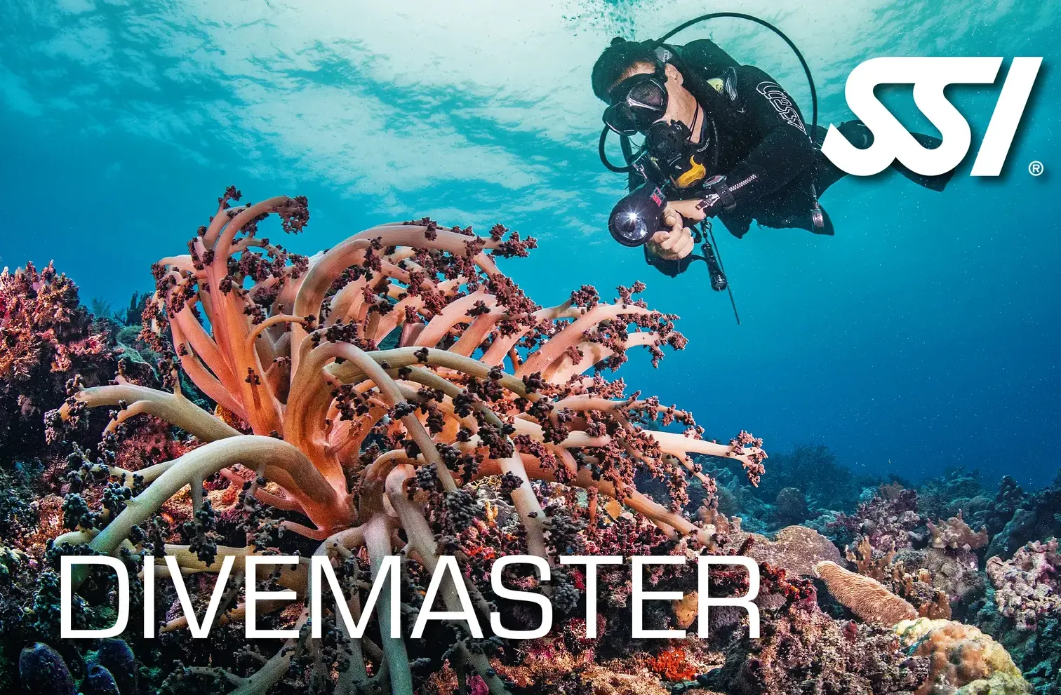 SSI Divemaster course card