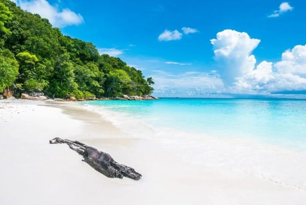 The white sand shoreline of Turtle Beach with clear turquoise water
