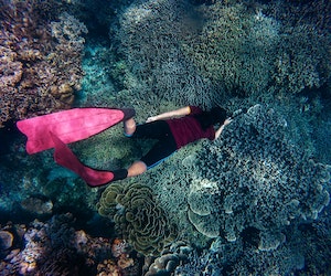 Turtle Beach snorkelling Havelock