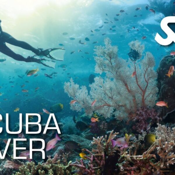 Scuba Diver Package