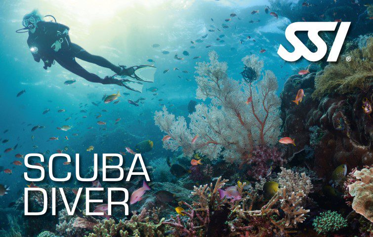 Scuba diver course to learn scuba diving in Andaman