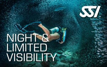 night-limited-visibility-diving