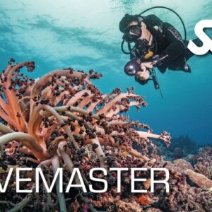 divemaster-underwater