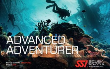advanced adventure diver course in Havelock