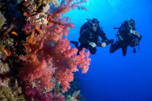two-person-diving-underwater
