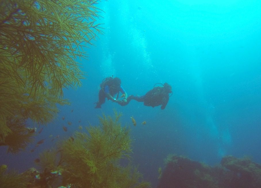 two divers underwater with corals at red piller fun diving site