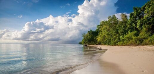 Bharatpur beach