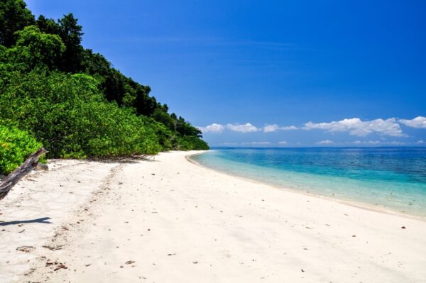 The Best Beaches of Havelock-Spend a Beach Day in the Andamans