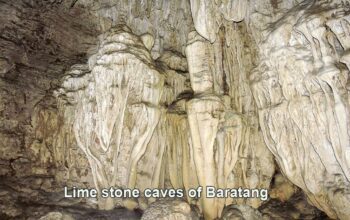 Lime stone caves in baratang island