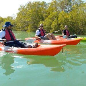 Kayaking in the Mangroves