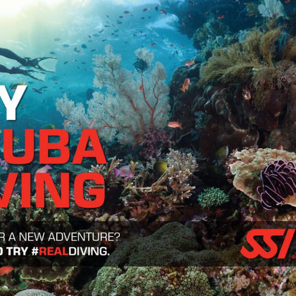 Try Scuba Diving Light Package (Shore Diving)
