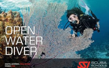 open water diver course to learn scuba diving in Andaman