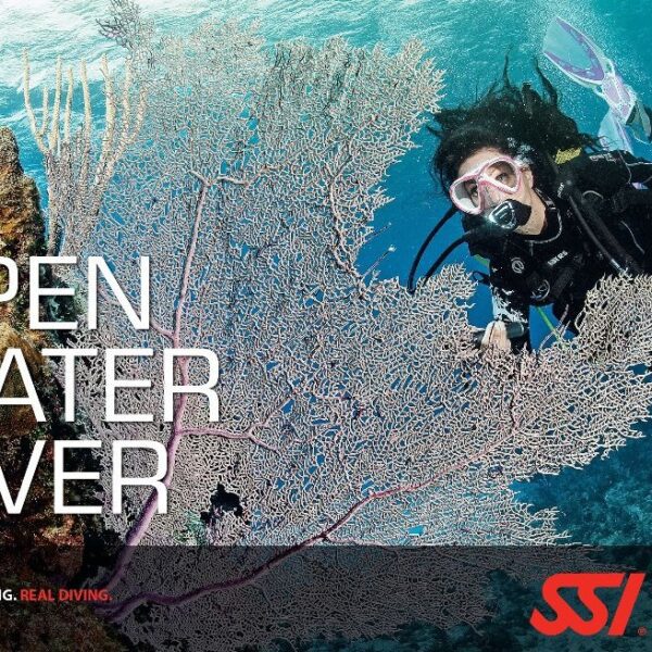 Open Water Diver Package