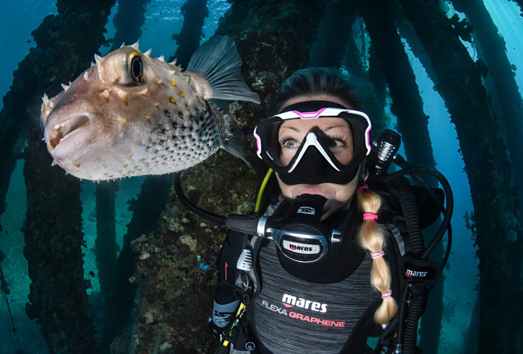 diver with fish underwater