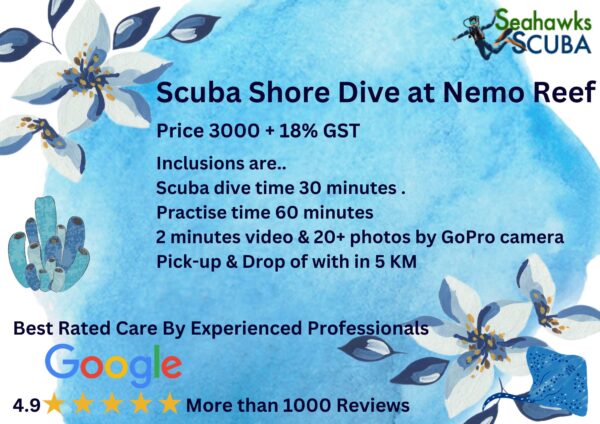 Image for price display of Nemo Reef 30 minutes