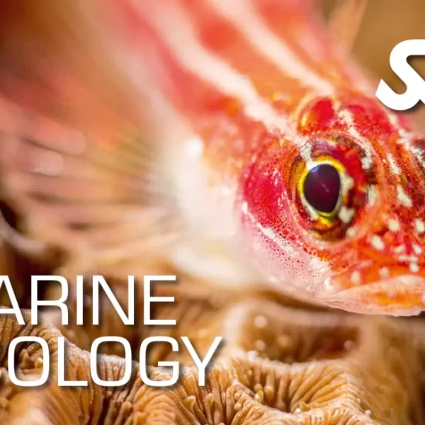 Marine Ecology Speciality Package