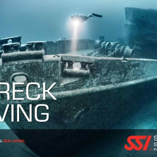 Wreck Diving Specialty Package
