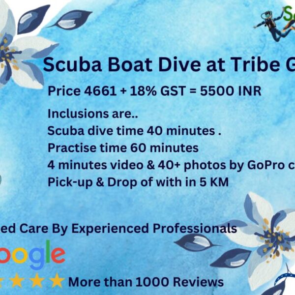 Premium Scuba Diving Package