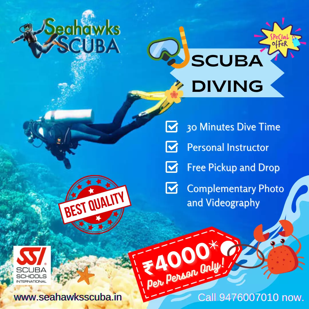 Standard Scuba Diving Package