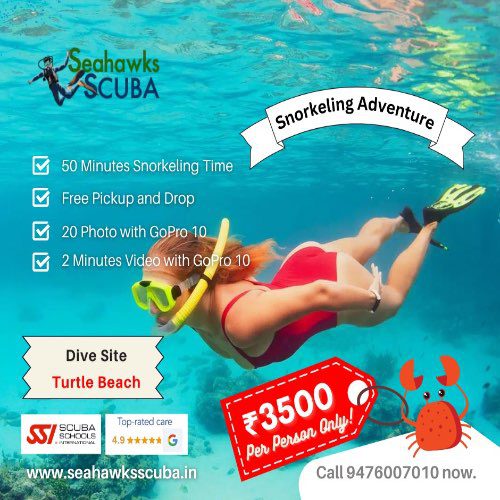 Snorkelling special package