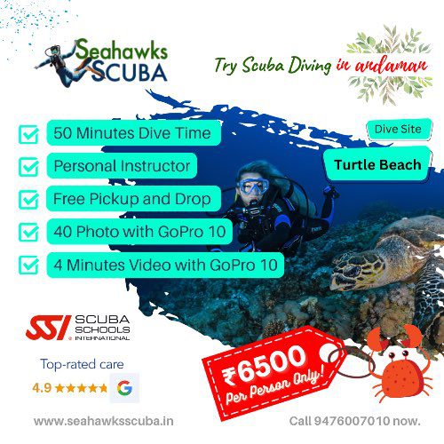 Scuba diving special