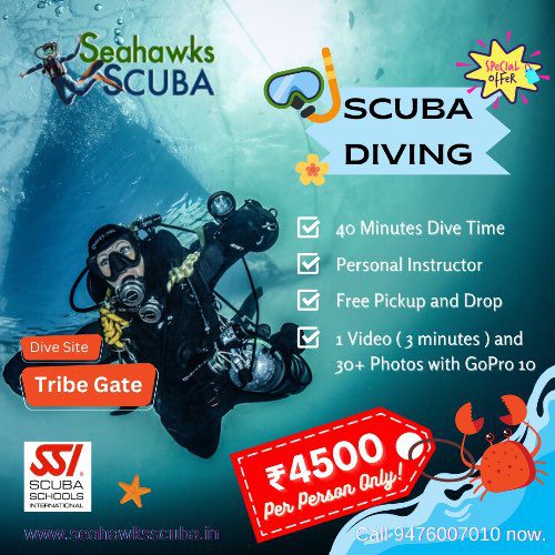 scuba diving plus