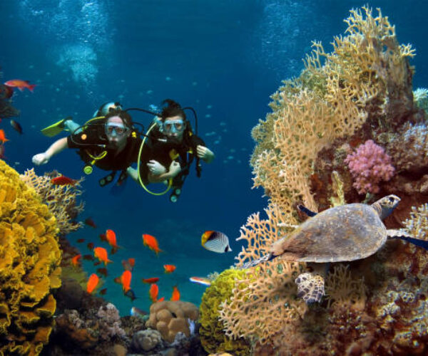 Scuba Diving in India: Explore Top 14 Best Dive Spots For Breathtaking Experience
