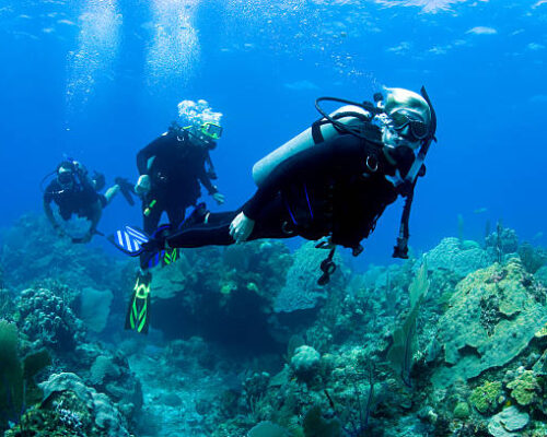 Group of divers underwater to explore coral reefs