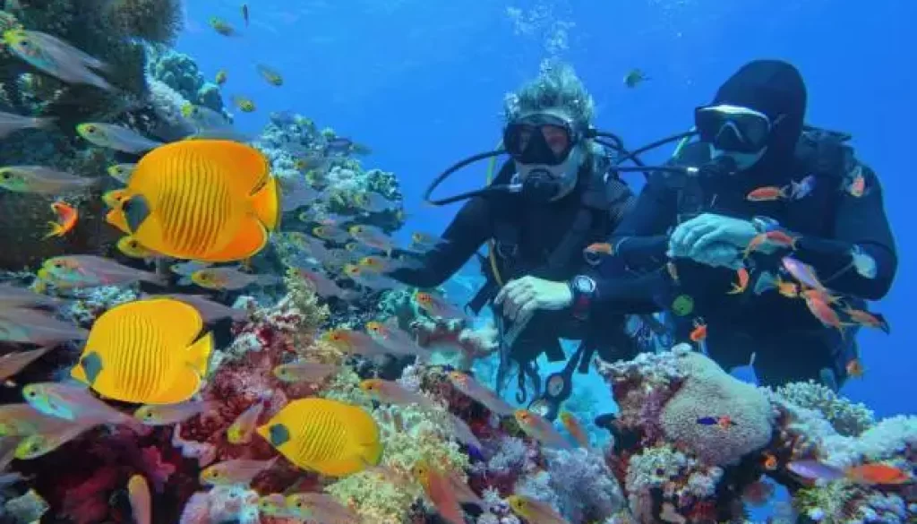 Try Scuba Diving in India to Explore 14 Amazing Scuba Dive Spots