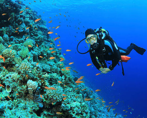 Young Woman Scuba Dives on a Coral Reef