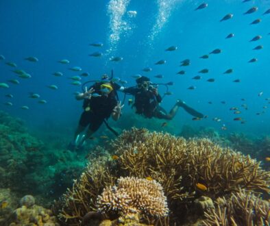 two scuba divers diving underwater at Turtle beach dive site in Havelock with multiple species of fishlife and coral reefs