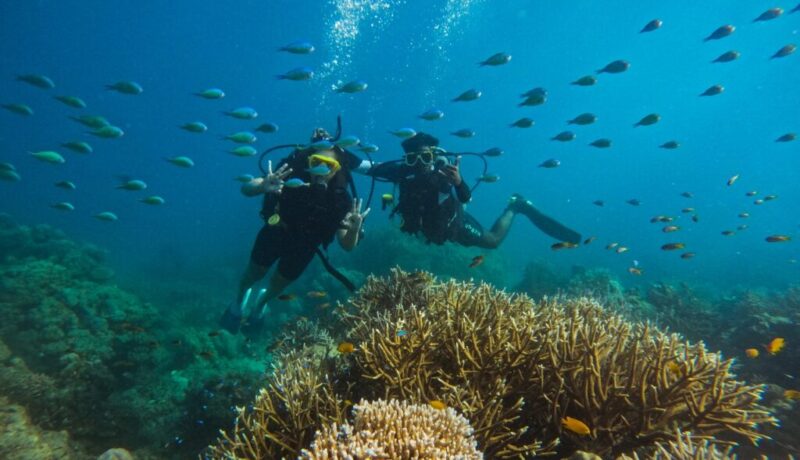 two scuba divers diving underwater at Turtle beach dive site in Havelock with multiple species of fishlife and coral reefs