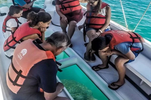 7 people sitting on a glass bottom boat and watching marine life through a transparent glass placed on the bottom of the boat.