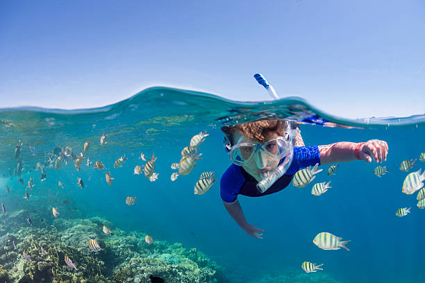 Kid snorkeling in crystal clear blue waters of andaman with multiple species of fish and corals