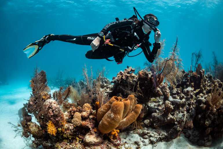 Scuba diving in India