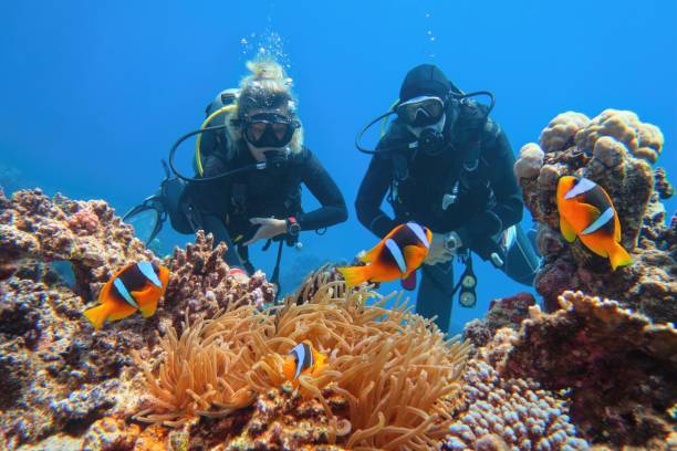 two scuba divers swimming close to a beautiful reef with multi-species of colorful marine life