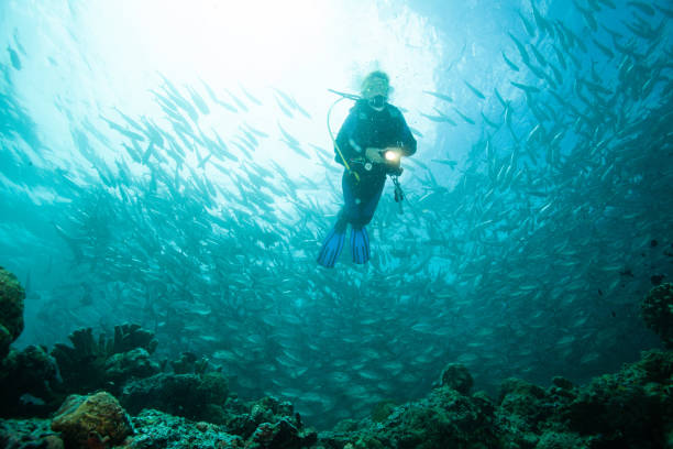 a scuba diver swimming with a group of fishes above coral reefs