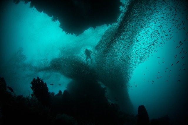 a scuba diver underwater and a huge schools of fishes around and coral reefs beneath them