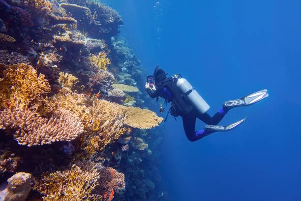 A scuba diver underwater sailing around colorful coral reefs