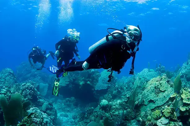 3 scuba divers diving over a coral reef while scuba diving in neil Island