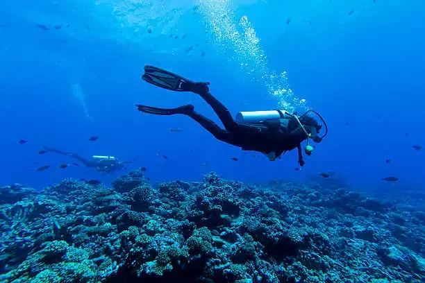 A scuba diver swimming over a coral reef while scuba diving in tarkarli